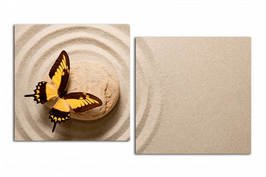 Модульная картина Бабочка на камне
